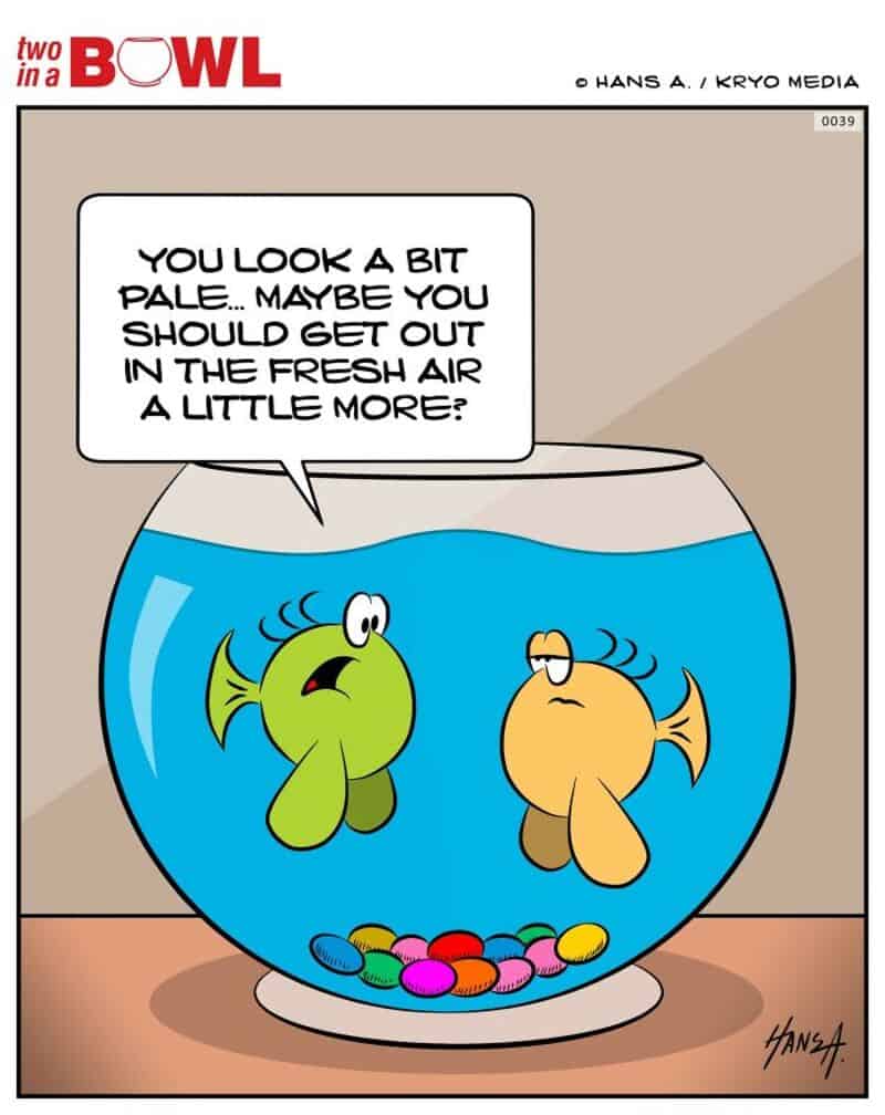 Fish in a bowl with one saying to the other, 'You look a bit pale... maybe you should get out in the.