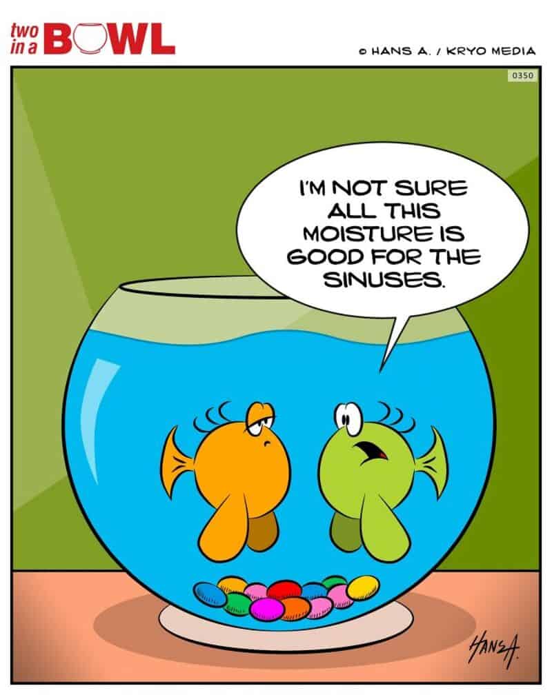 Two fish in a bowl with a speech bubble about moisture and sinuses.