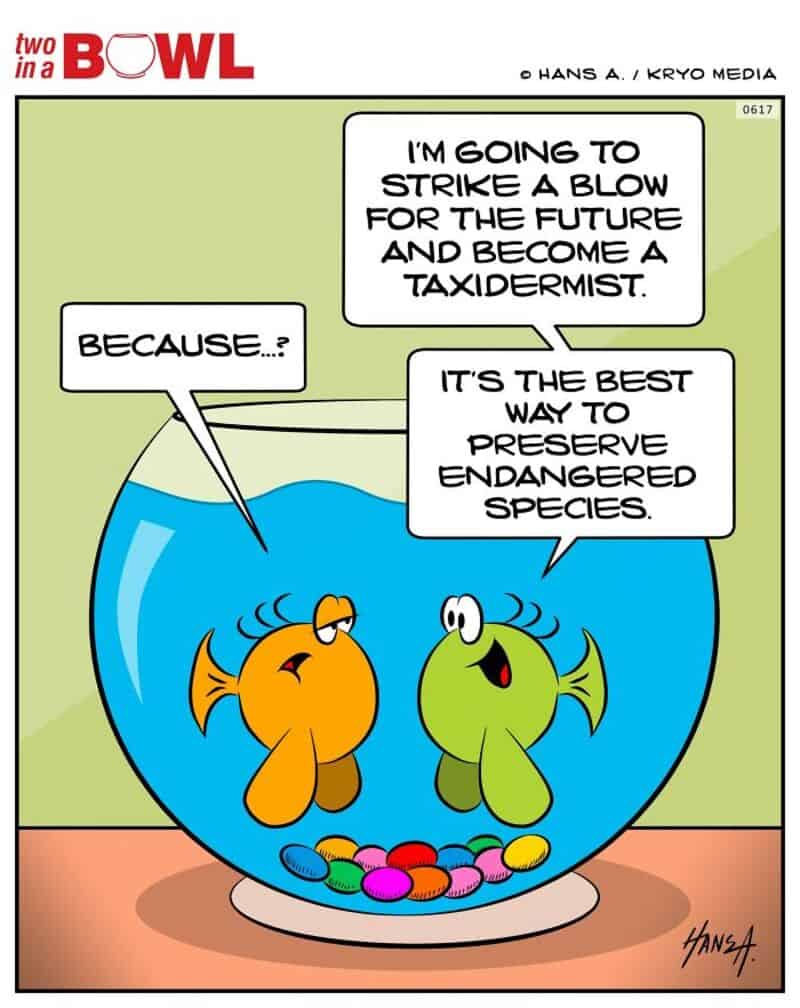 Fish talking about becoming a taxidermist to preserve endangered species.