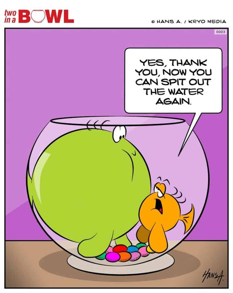 Fish thanks the frog for spitting out water again in a fishbowl.