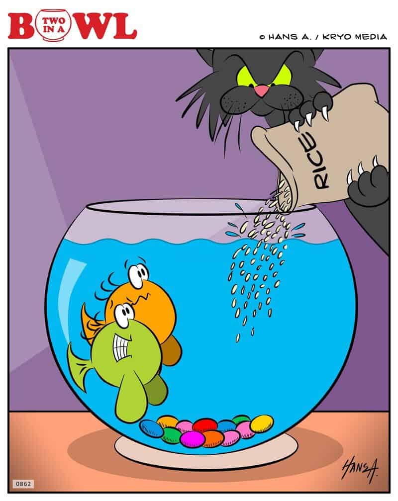 Black cat pouring fish food into a fishbowl with two fish and colorful pebbles.
