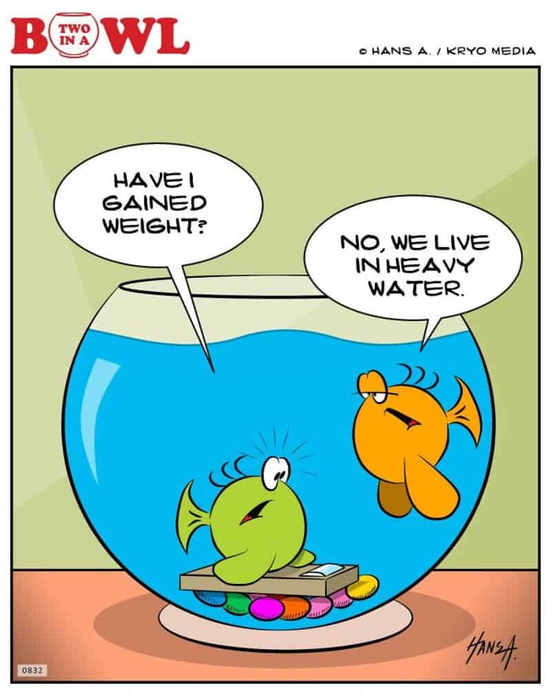 Two fish in a bowl, one asks if it has gained weight, the other says they live in heavy water.