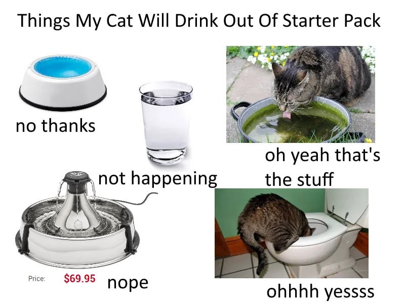 A cat drinking water from a bowl with humorous captions and price tag.
