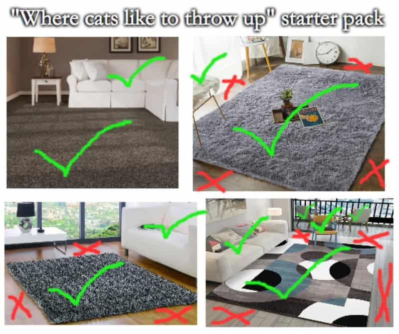 "Where cats like to throw up" starter pack.