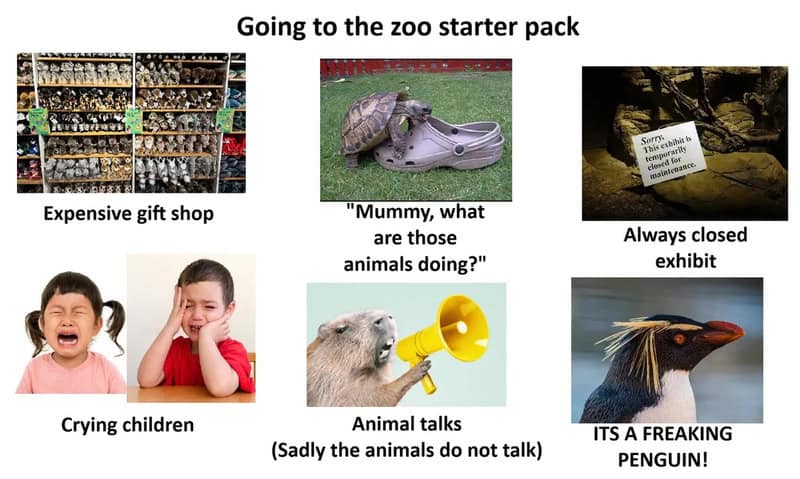 Expensive gift shop, turtle on shoes, closed exhibit, crying children, animal talks, penguin with me.