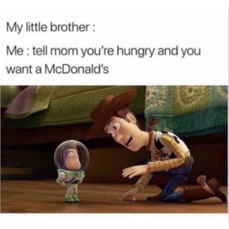 Toy story meme with a little brother and a person dressed as Woody.