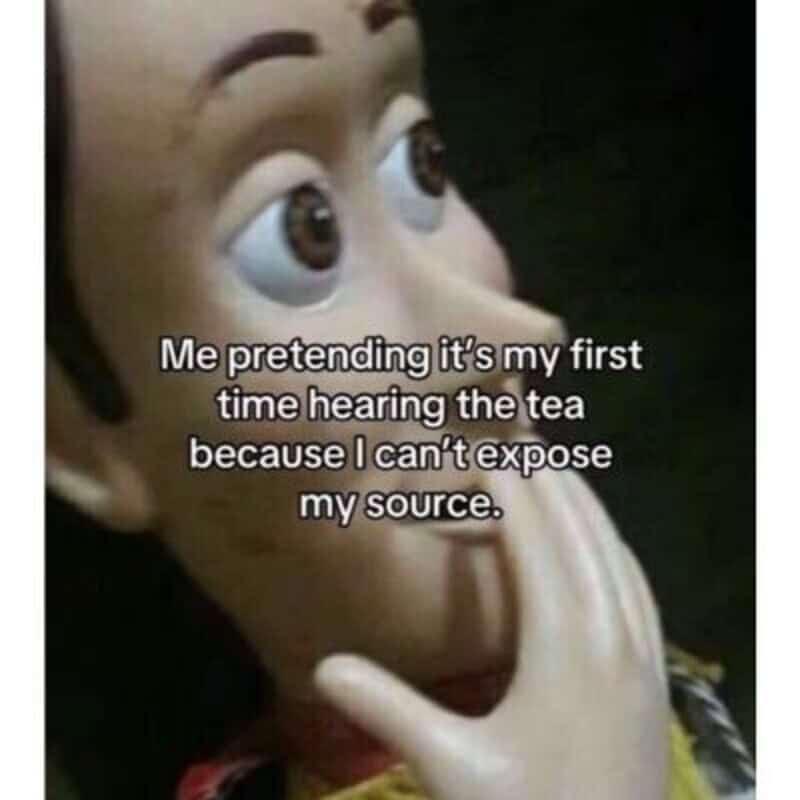 Toy story meme with a character pretending to hear tea, saying I can't expose my source.
