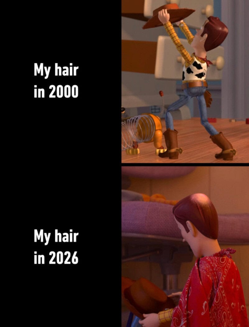 Toy story meme showing Woody's hair in 2000 and 2026.