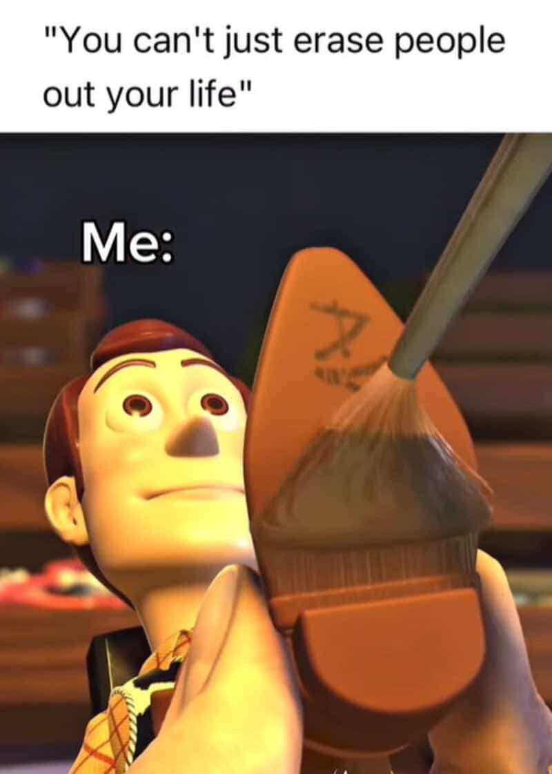 Toy Story meme with Woody painting a shoe, captioned 'You can't just erase people out your life'.