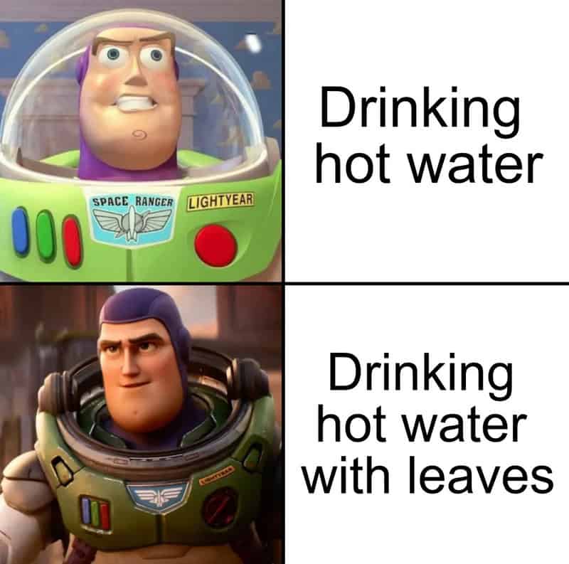 Toy story meme with Buzz Lightyear and Woody about hot water.