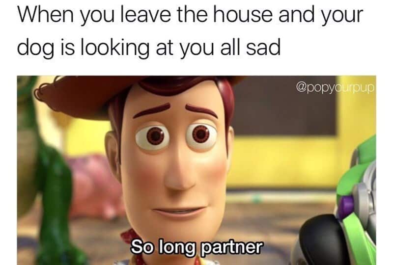 Toy story meme with Woody looking sad and saying 'So long partner'.