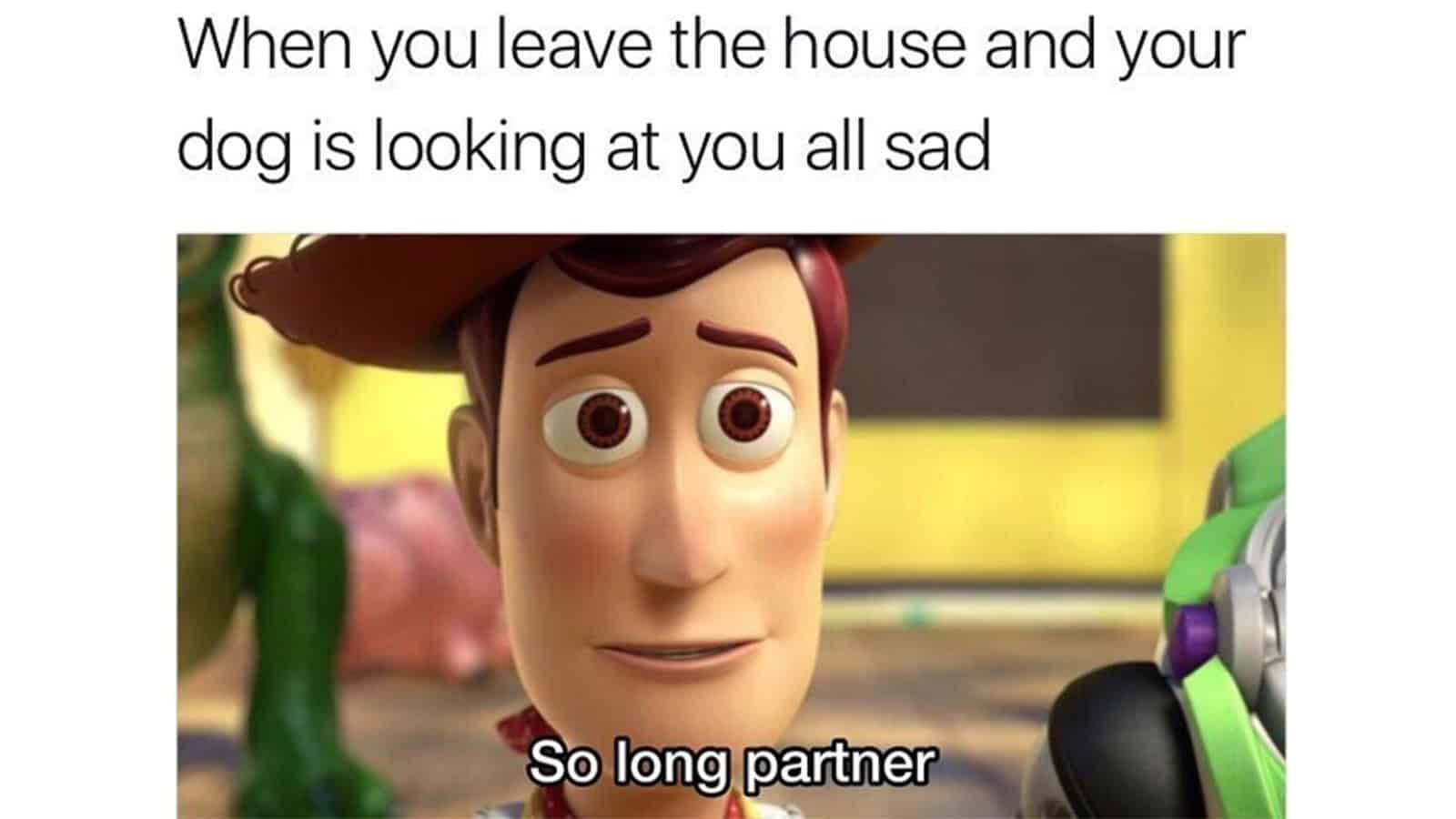 Toy Story meme with Woody and Buzz Lightyear, sad dog, and caption.