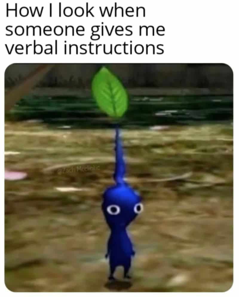 How I look when someone gives me verbal instructions with a blue creature holding a leaf.
