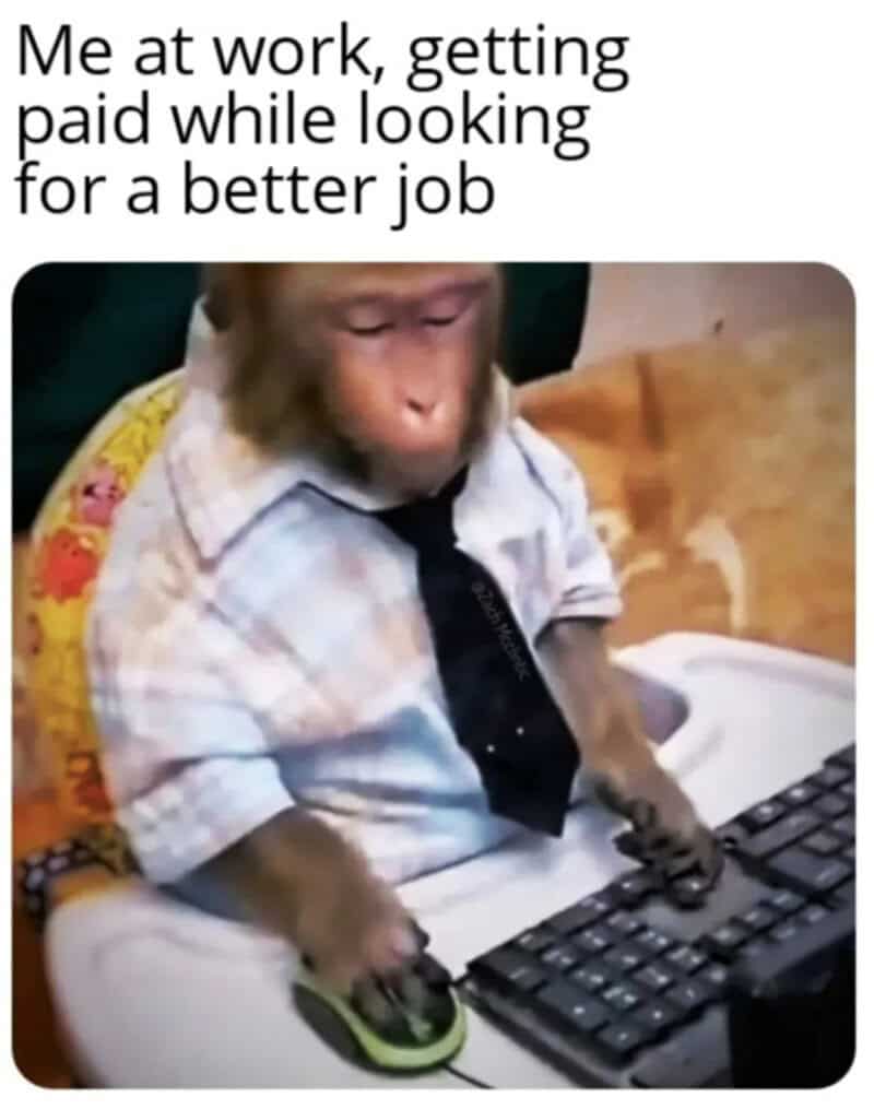 Monkey in office attire using a computer with the caption about getting paid while looking for a new.