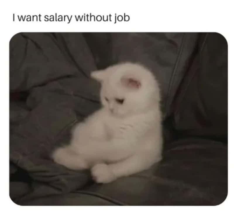 Cute white kitten with crossed paws and a serious expression, sitting on a dark couch.