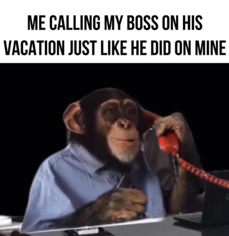 "Me calling my boss on his vacation just like he did on mine".