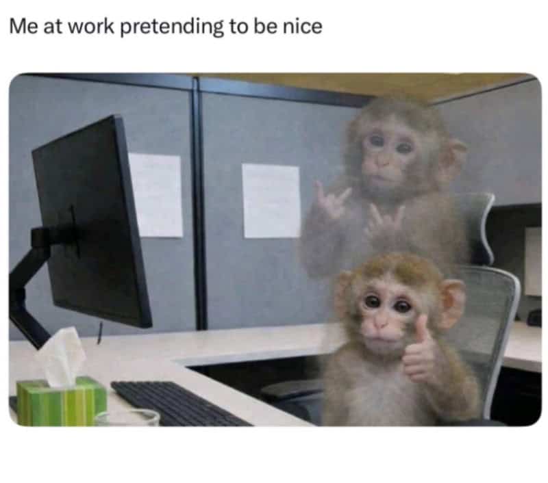 "At work pretending to be nice" with two monkeys, one giving a thumbs-up and the other making a rude.