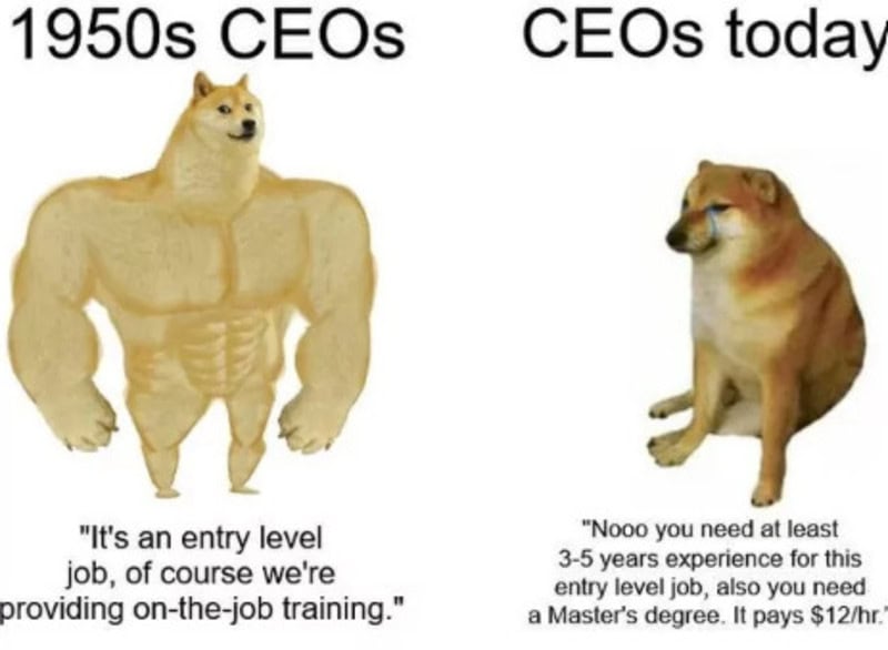 "1950s CEOs vs. modern CEOs: muscle-bound figure with a dog, highlighting experience differences.".