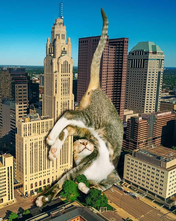 Playful cat hanging from a skyscraper in a city skyline.