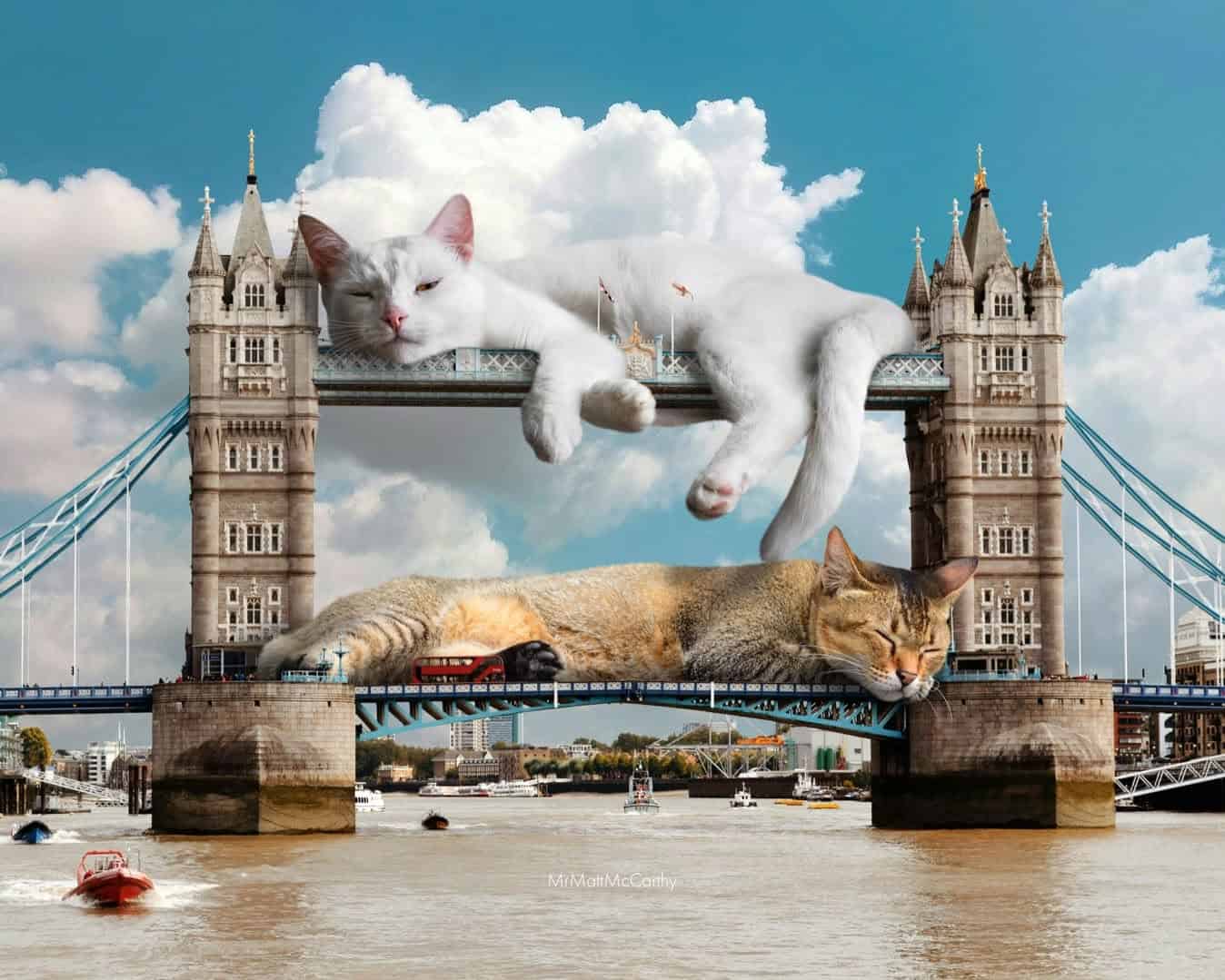 Two cats sleeping on the Tower Bridge in London, with clouds in the sky.