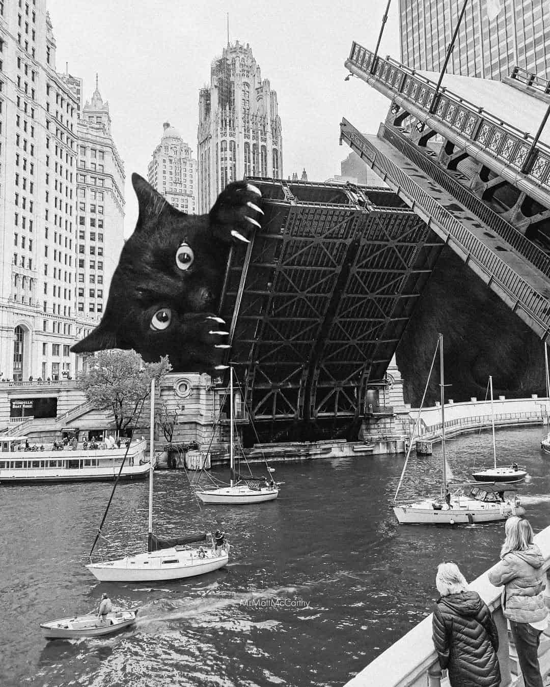 Black cat peeking out from under a docked boat in a city harbor, with tall buildings in the backgrou.
