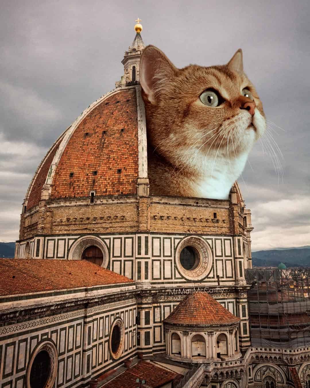 Cat's head emerging from Florence Cathedral dome, Italy, during cloudy weather.
