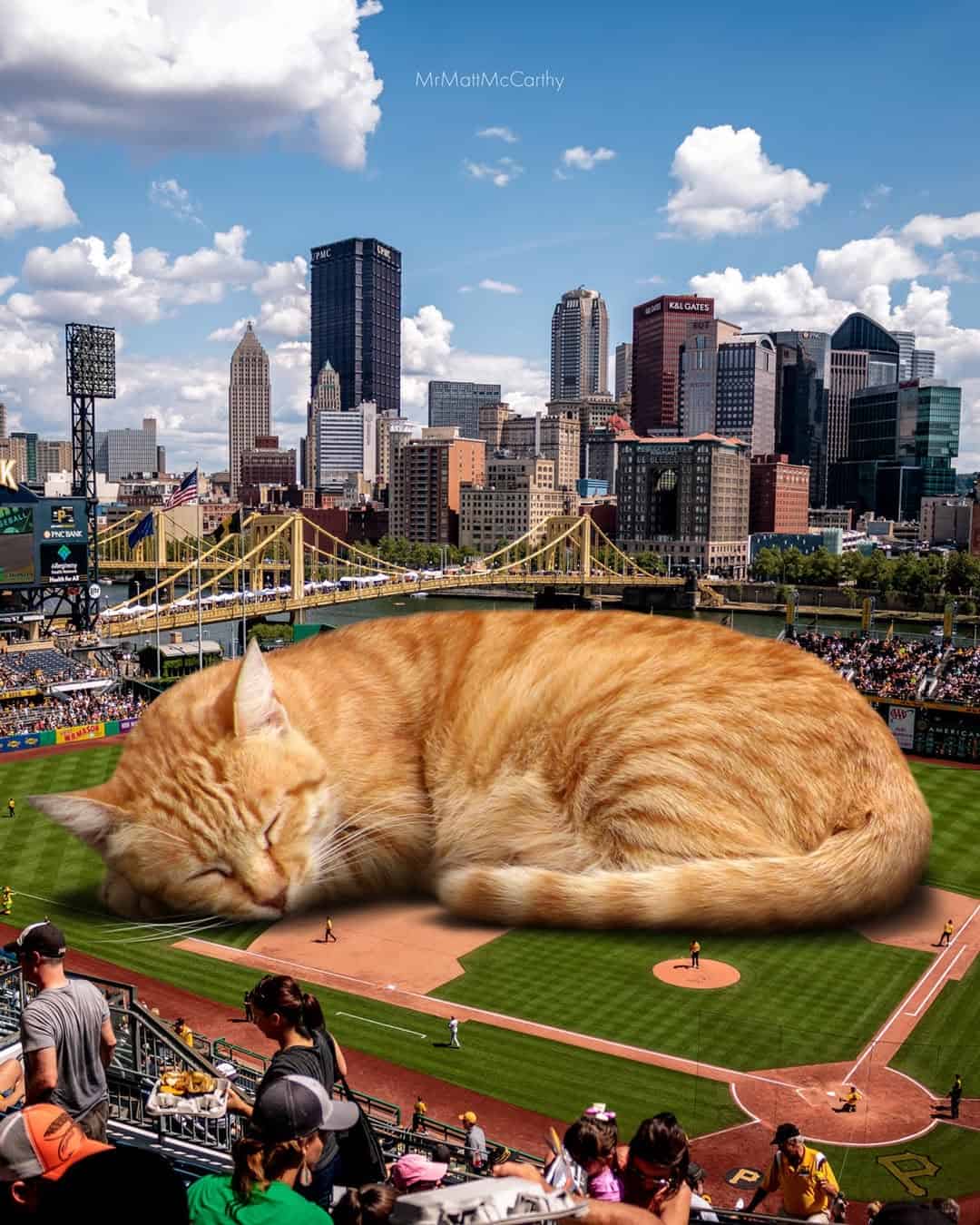 Giant sleeping cat on baseball field with city skyline background.