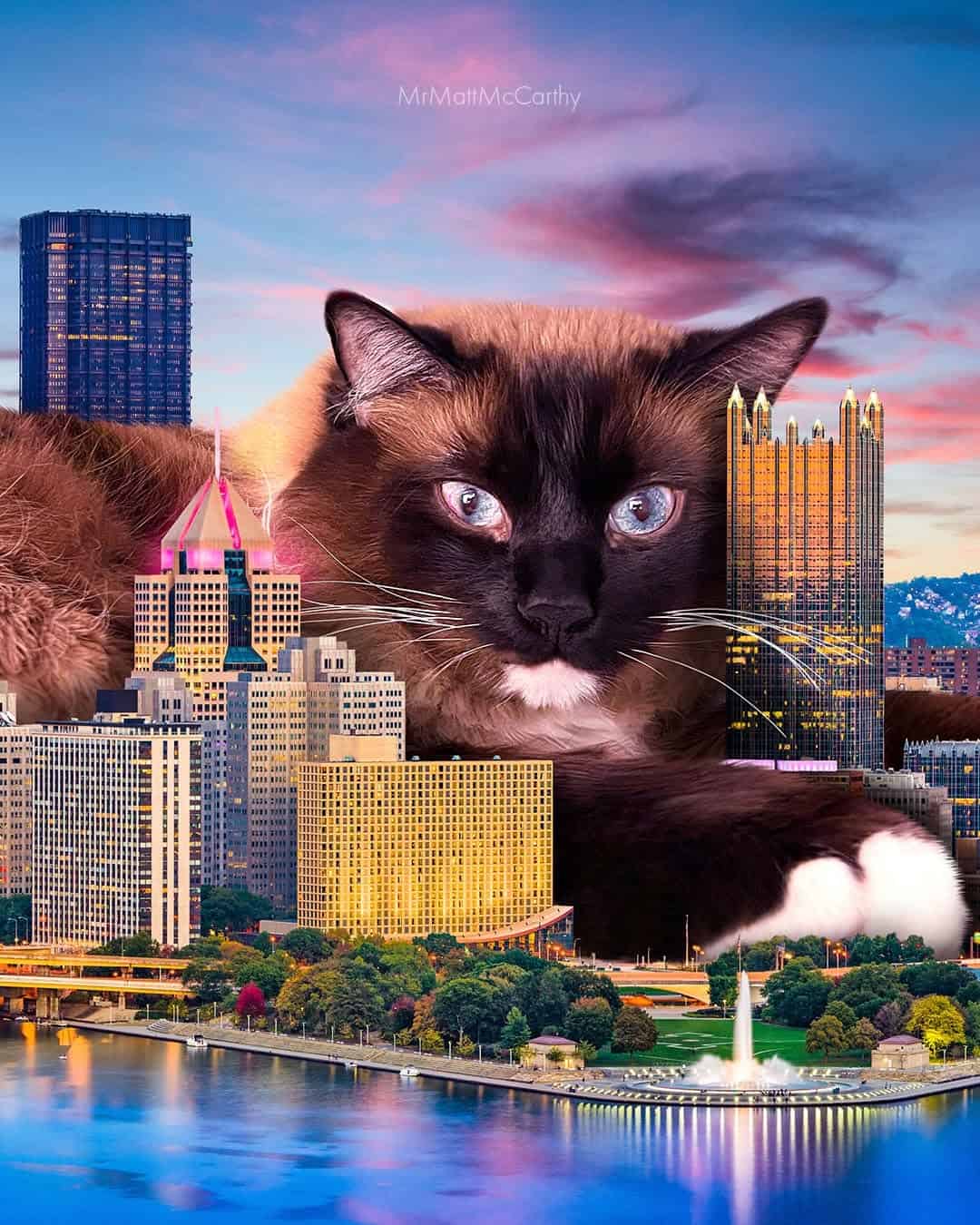Giant cat with piercing blue eyes over a city skyline at sunset.