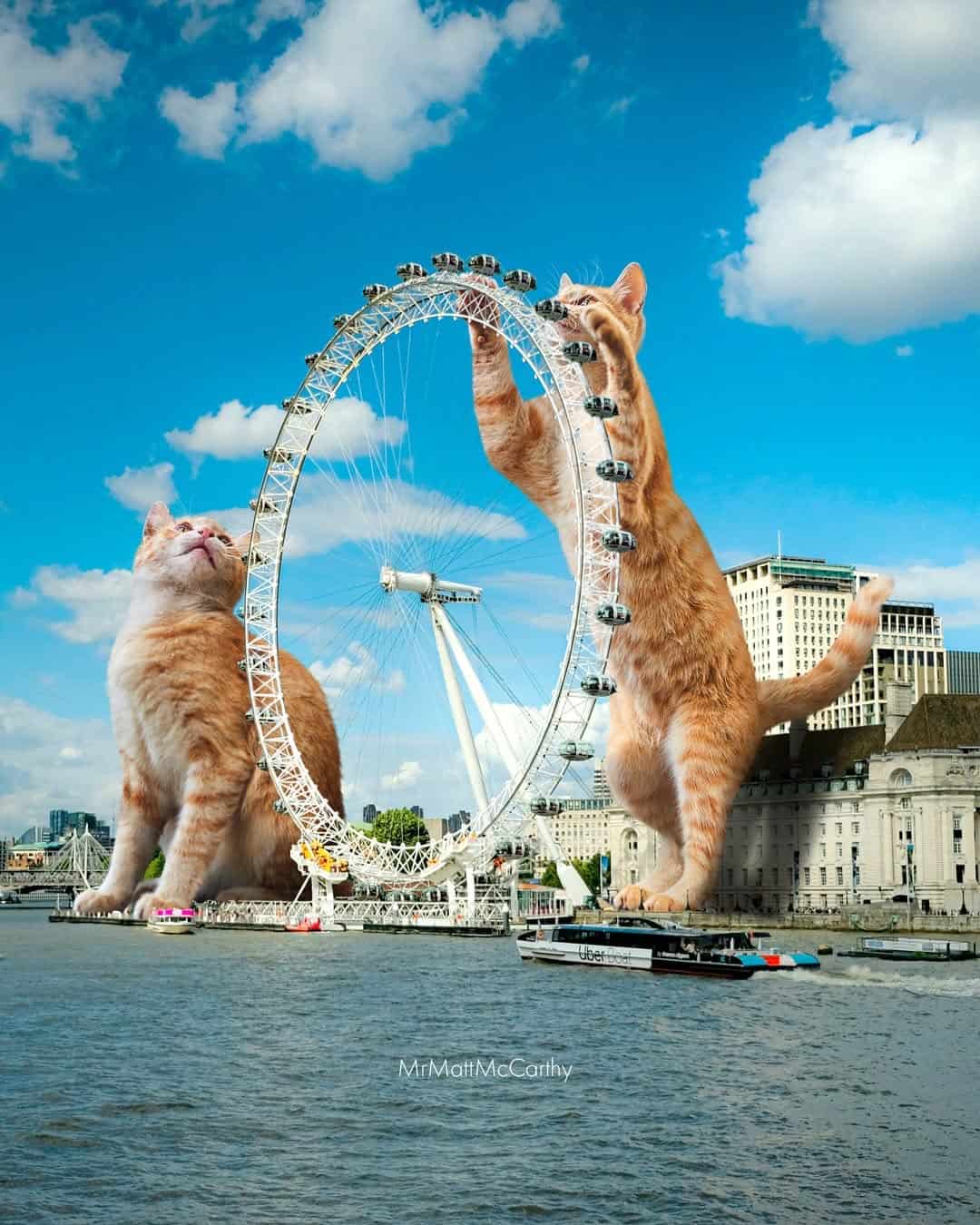 Two cats interacting with a large London Eye Ferris wheel outdoors.