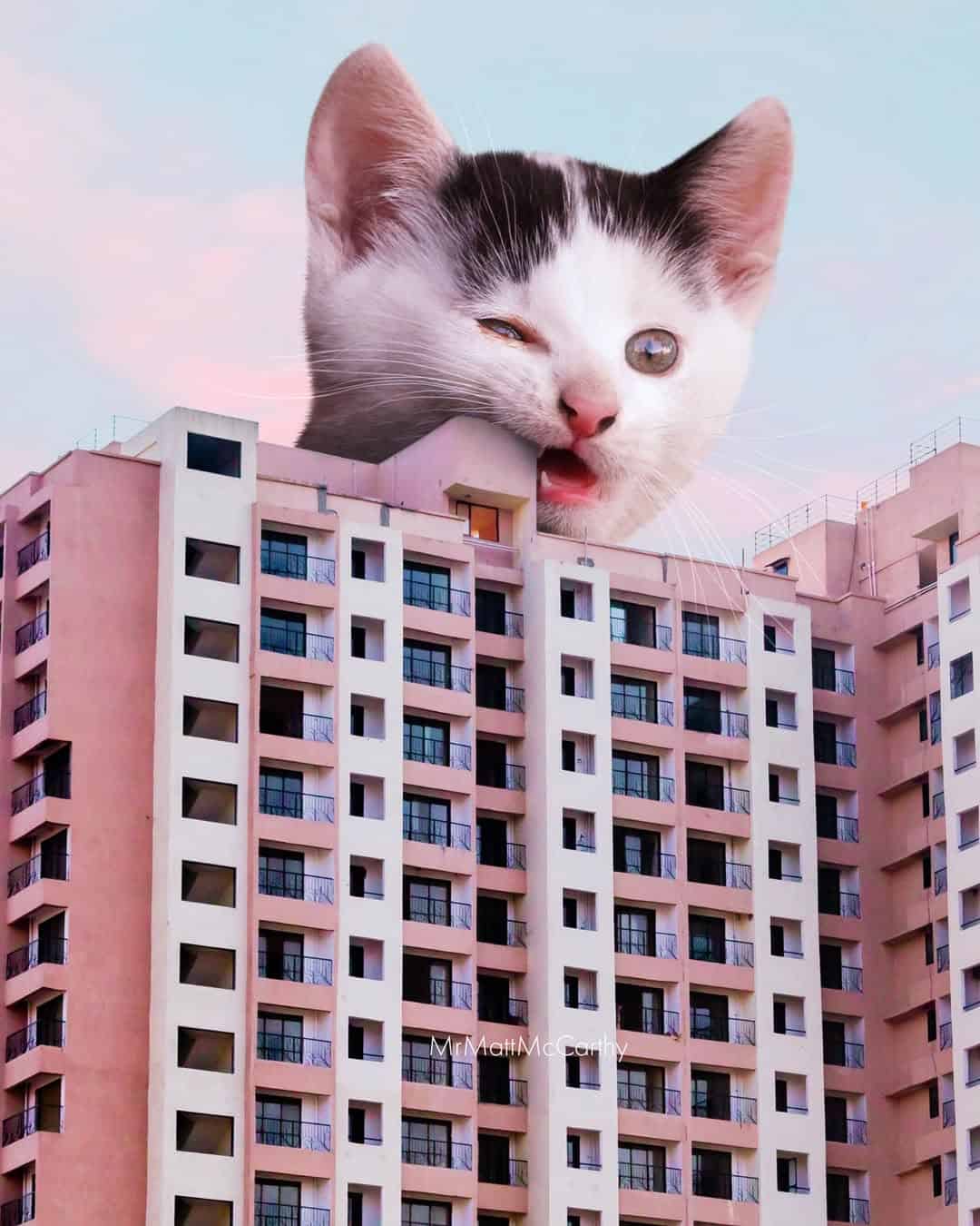 Playful kitten with one eye winking over a pink apartment building.