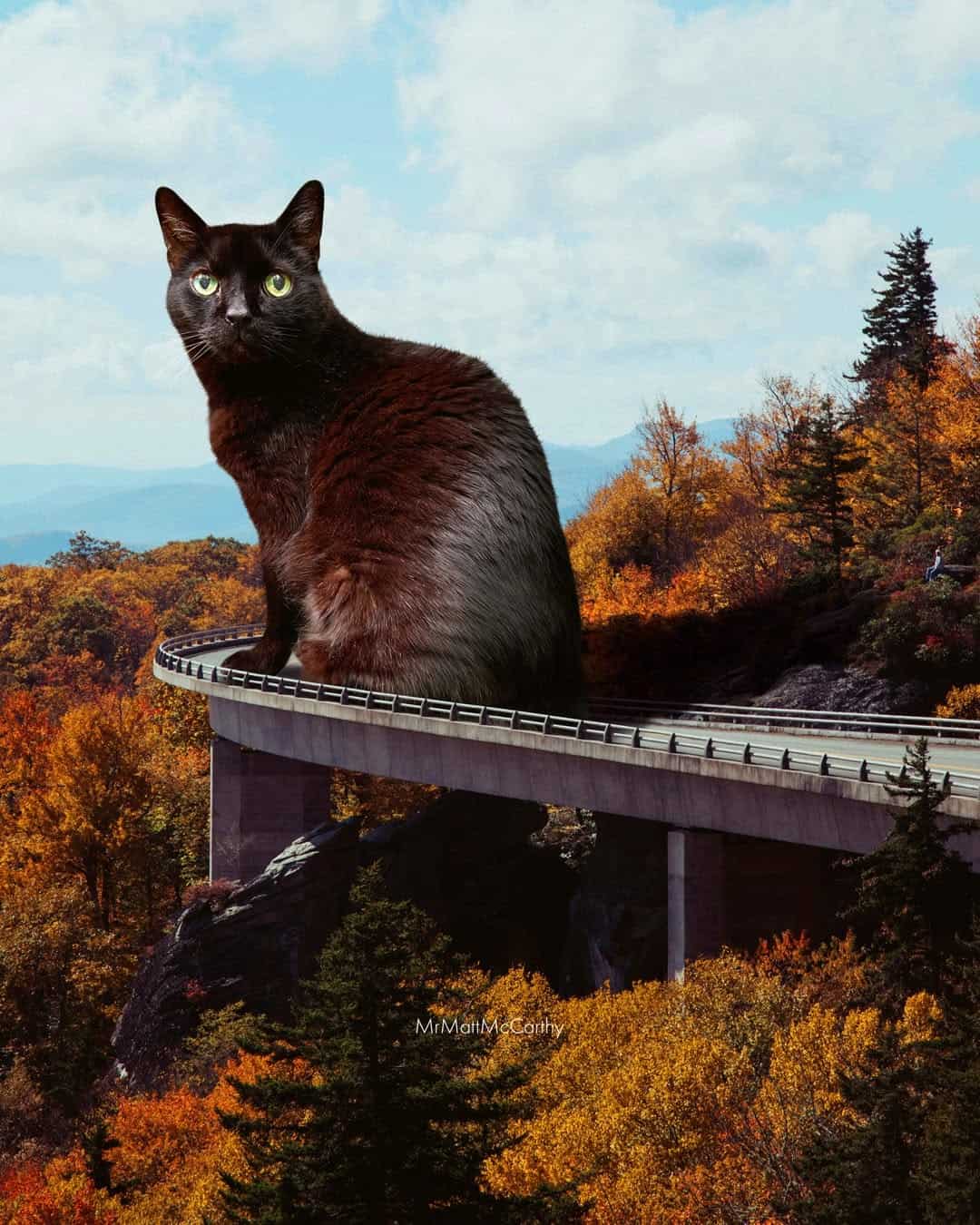 Black cat sitting on a bridge over a forested landscape with autumn foliage and a cloudy sky.