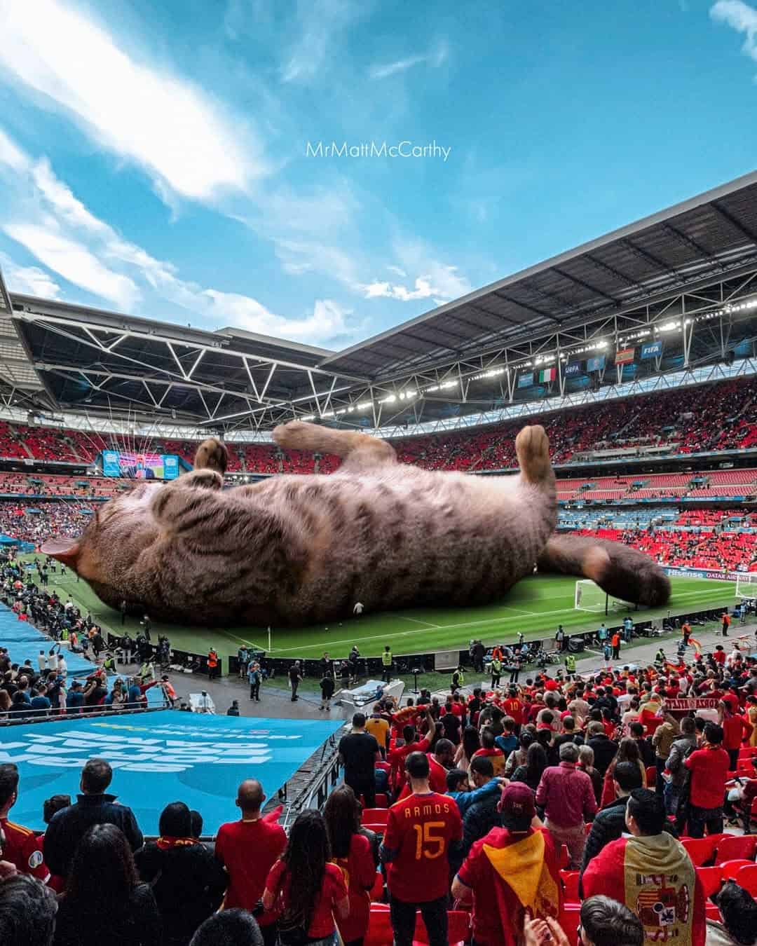 Giant cat lying on a football field during a stadium event.
