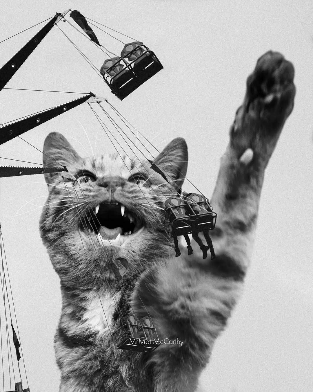 Playful cat with amusement park rides on its face and paw, black and white photo.