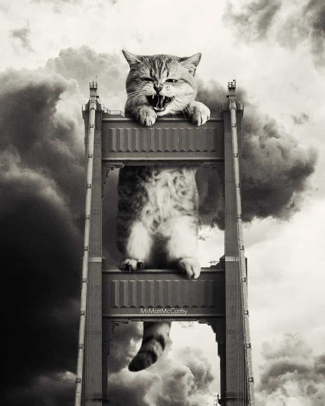 Cat climbing a tower with a stormy sky background in black and white.