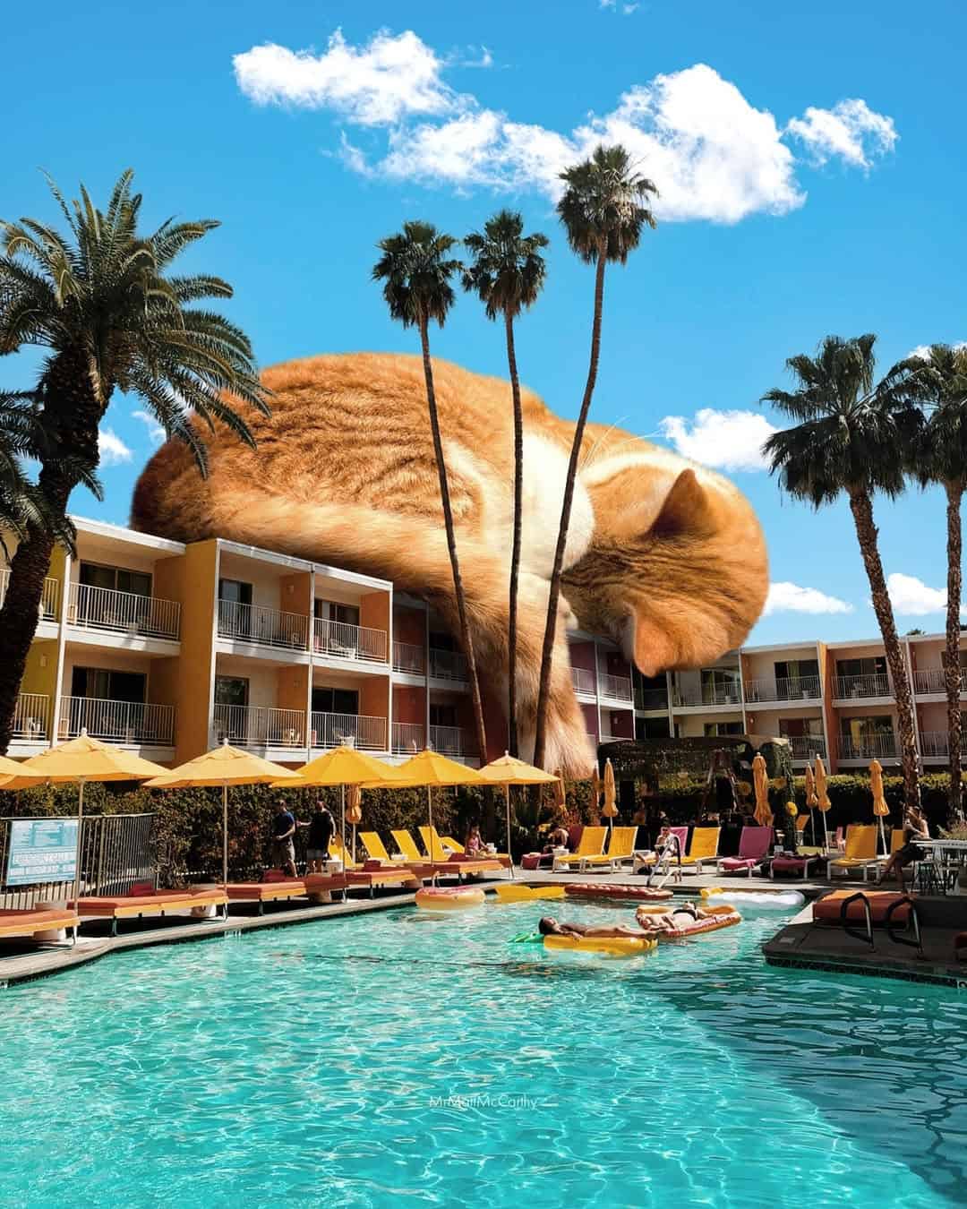 Giant cat head floating above a pool with palm trees and hotel buildings in the background.