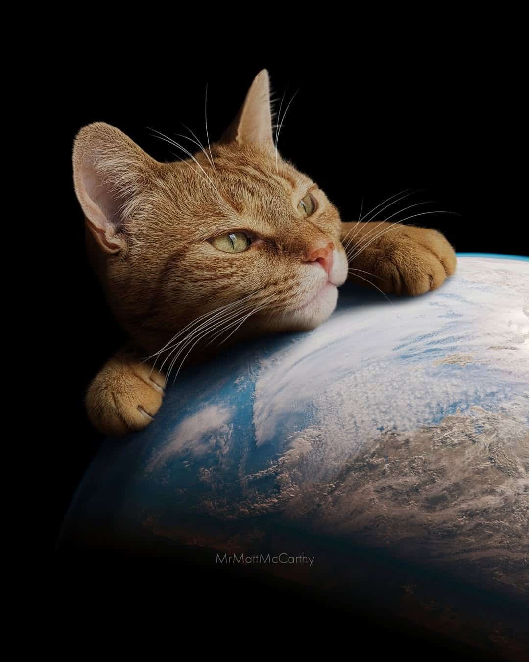 A cat resting its head on a globe of Earth, looking contemplative.