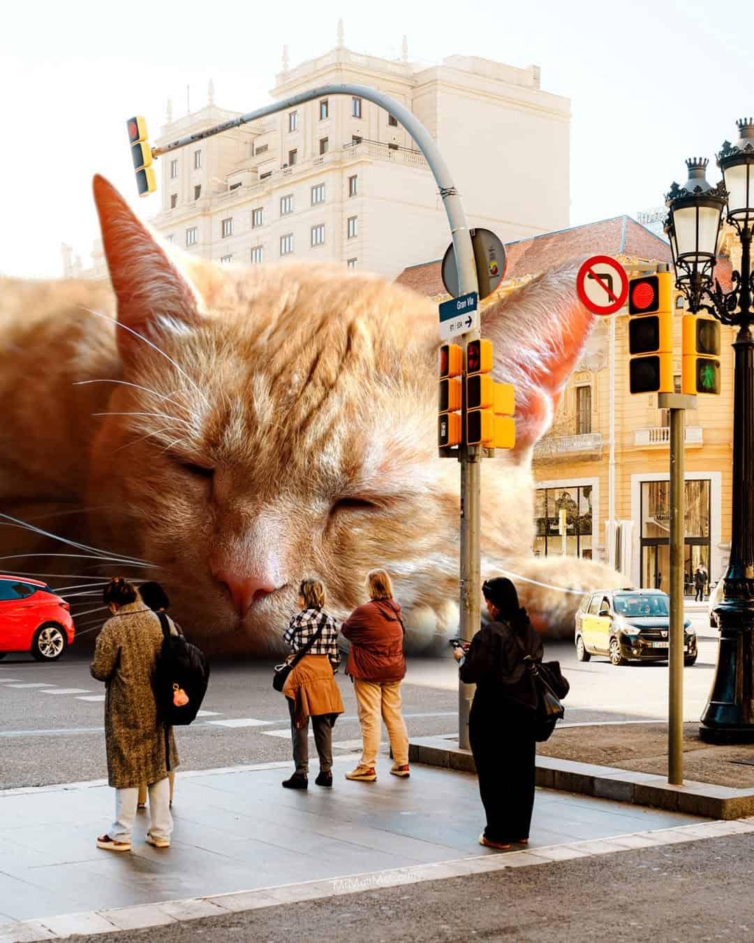 Large orange cat sleeping on city street with traffic lights and pedestrians.