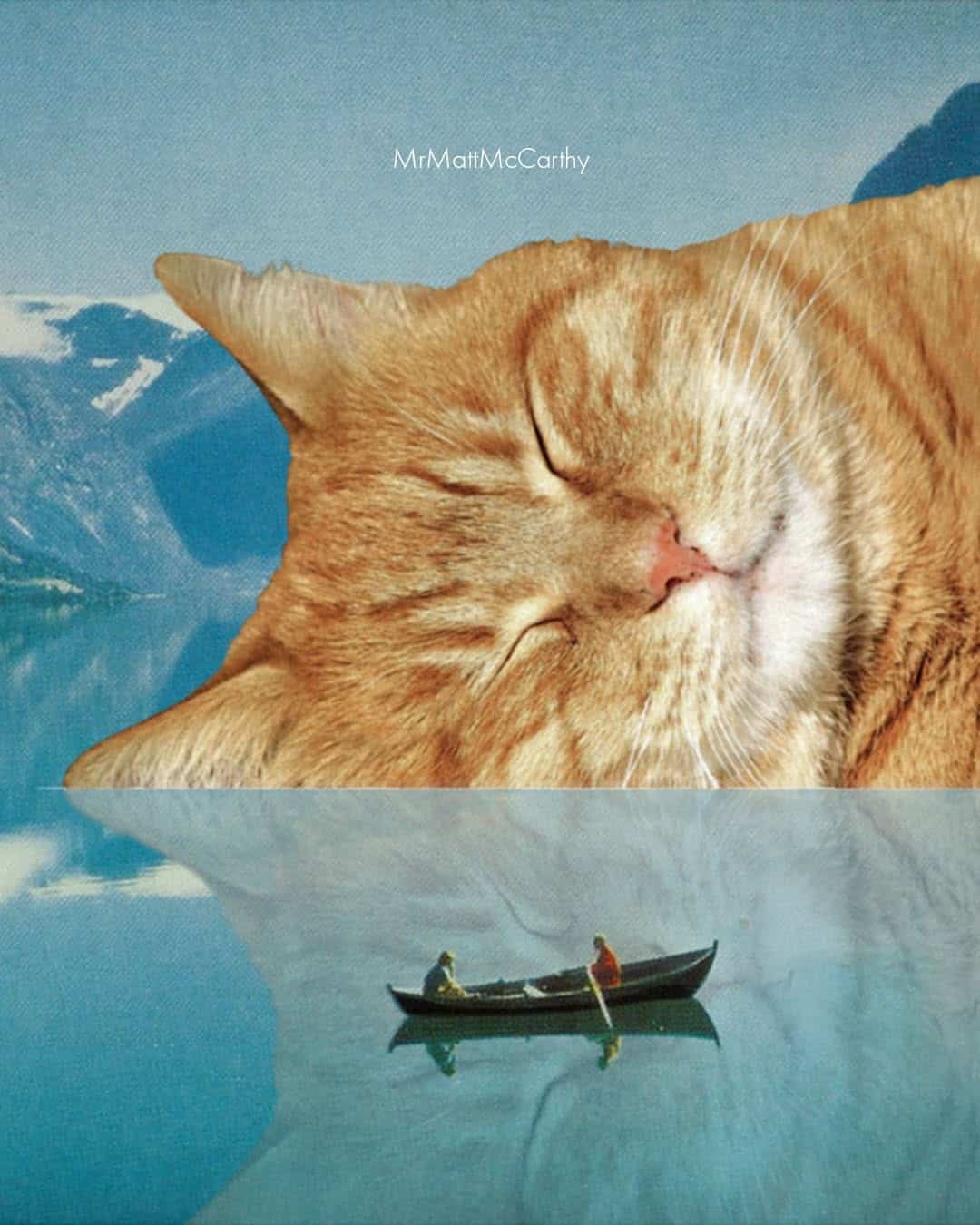 A calm orange tabby cat with closed eyes resting on icy water surface.