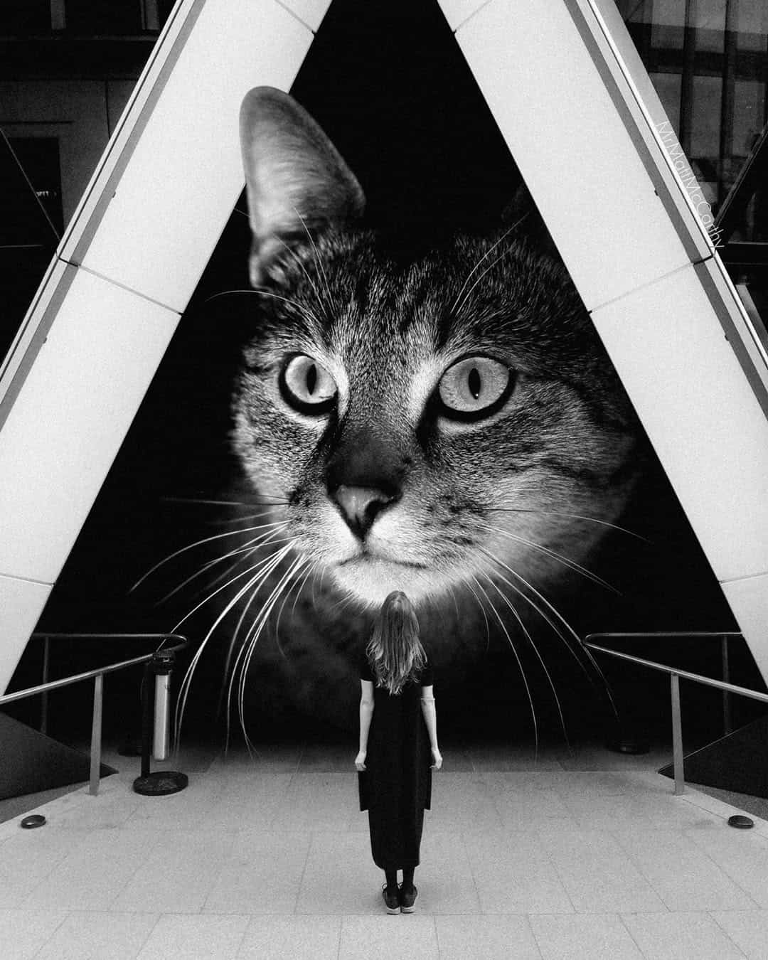 Large cat face on building facade with person standing below in black and white.