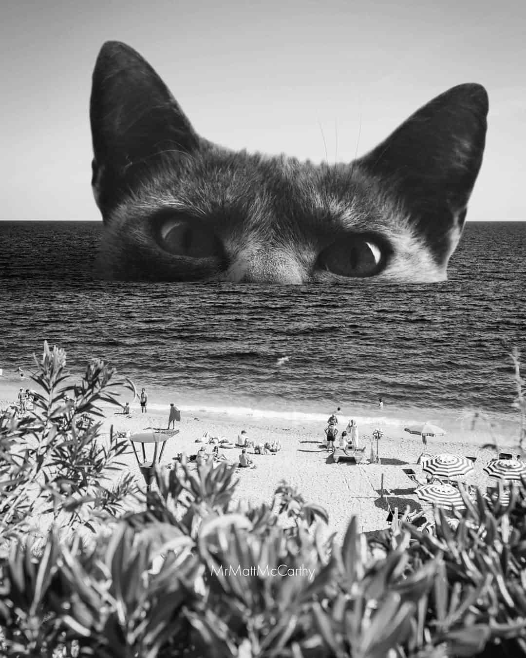 Cat's eyes peeking over the ocean horizon in black and white.