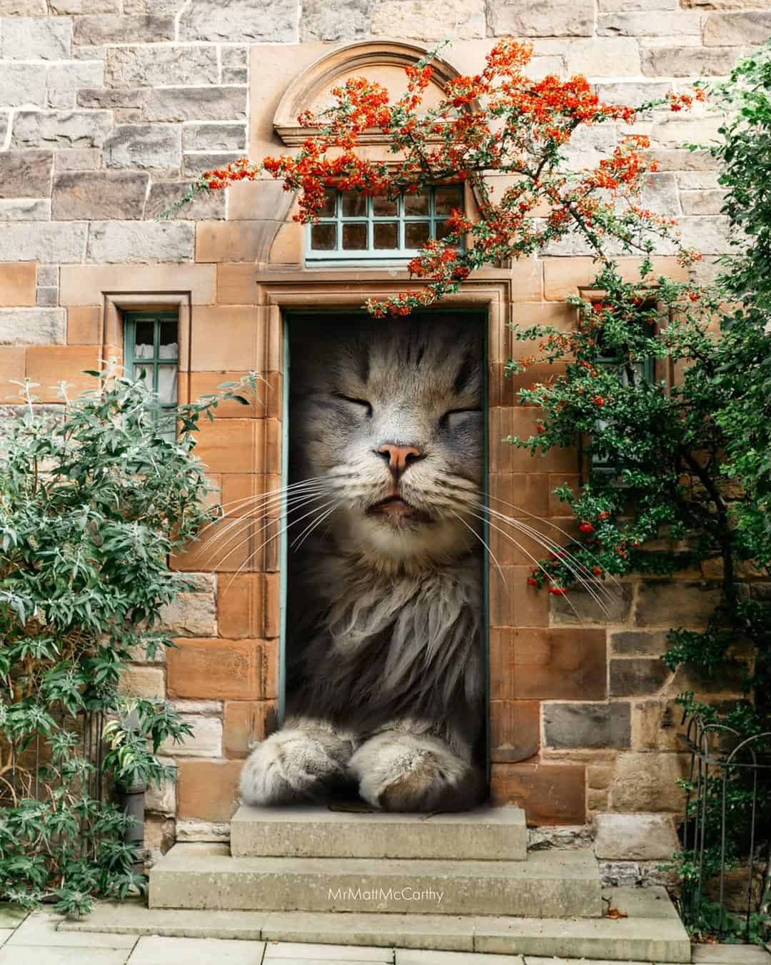 Playful cat peeking out of a small door in a brick wall with plants and flowers around.