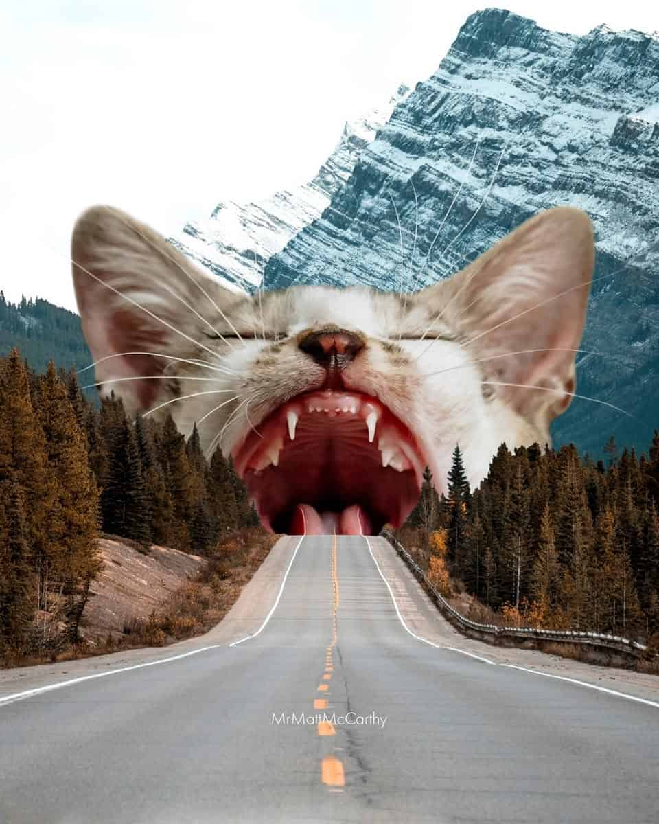 Giant cat head with open mouth over mountain road scene, surreal landscape.