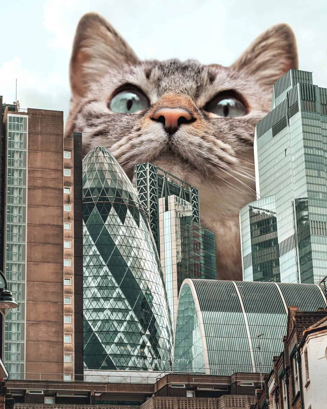 Giant cat head among modern city skyscrapers, surreal urban scene.