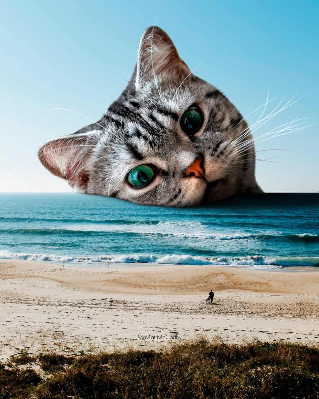 Playful giant cat head peeking over the ocean with a beach scene below.