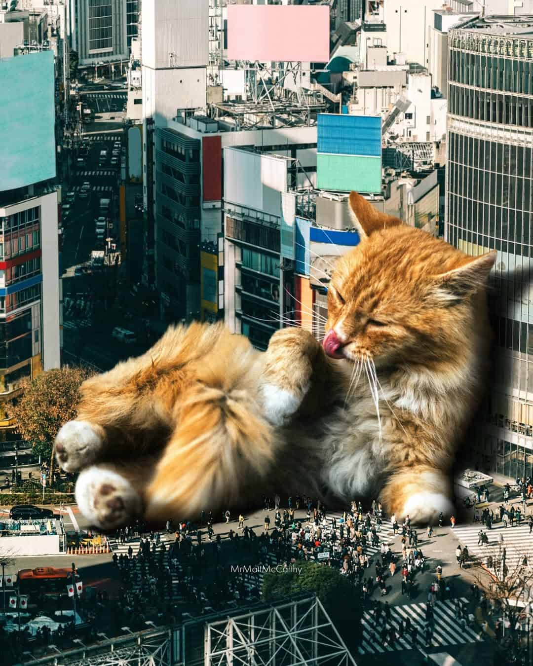 Giant orange cat lying on city rooftop with skyscrapers in background.