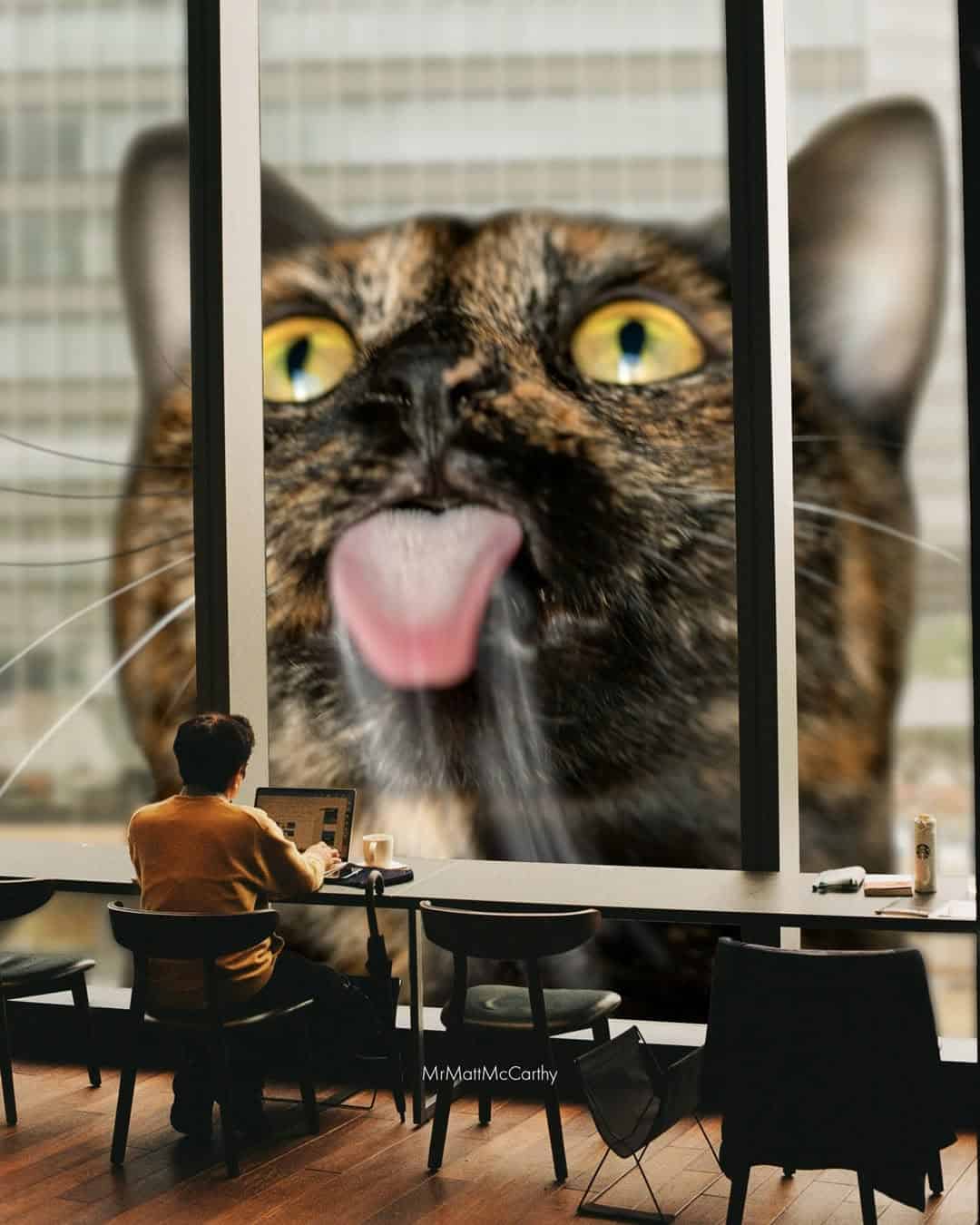 Large cat face behind glass with tongue out, close-up.