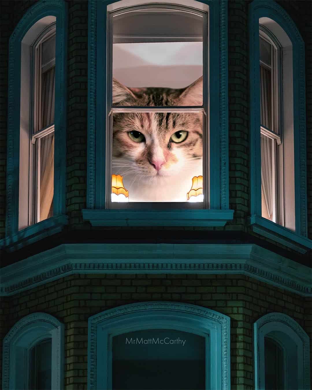 A cat looking out of a large window on a building at dusk.