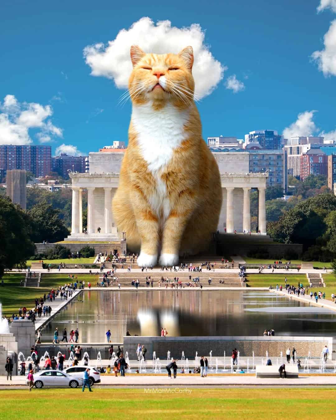 Giant orange cat sitting in front of the Lincoln Memorial in Washington, D.C.