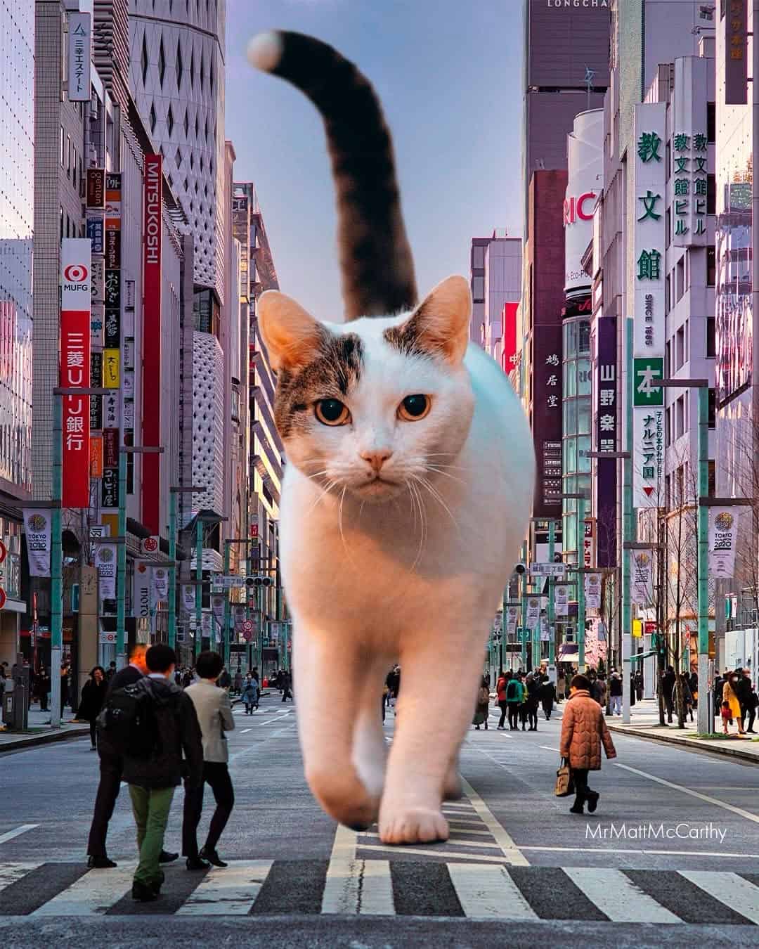 Giant cat walking through a busy city street with tall buildings and pedestrians.