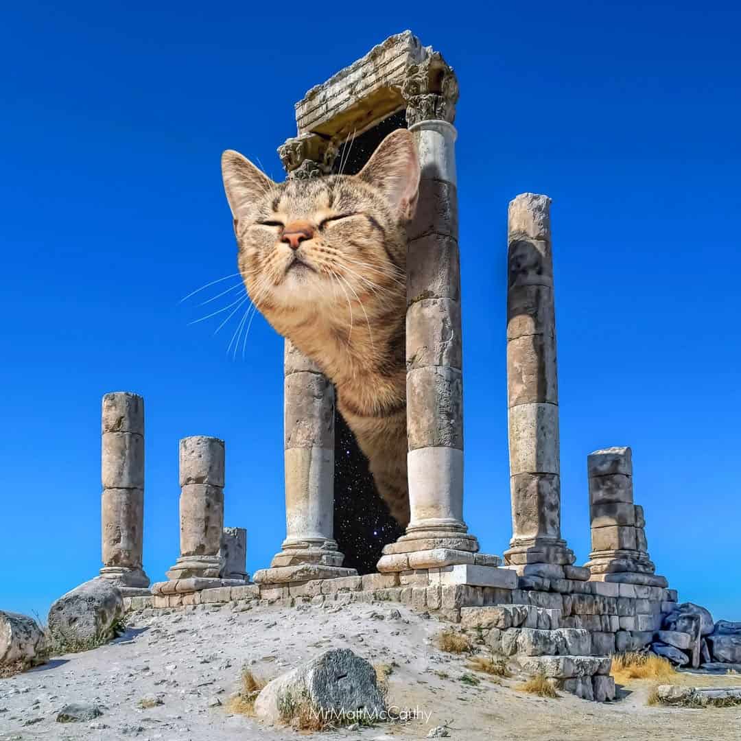 Ancient ruins with a giant cat head emerging from the columns, blue sky background.
